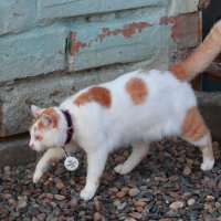 "Вася..." Хозяевам респект... :: Владилен Панченко