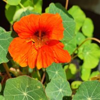 ,,, :: Сергей Тимоновский