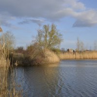 *** :: Виктор *** :: Виктор