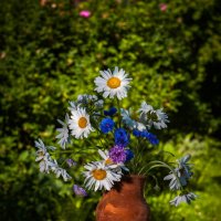 ***//*** :: Анатолий Нецепляев