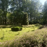 Оазис тенистых аллей и красоты... :: Наталия Павлова