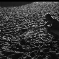 112 (81) :: СТРЕН 112 (81) :: СТРЕН