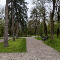 В Курортном парке :: Gen 