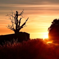 sunrise :: Elena Wymann