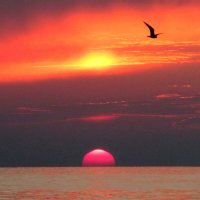 At tht sunset :: Валерий 