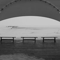 Зеленогорс. :: Харис Шахмаметьев