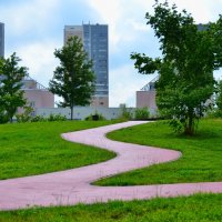 Городская тропка. :: Наталья Вязигина