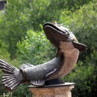 Царицына щука :: Сергей Кочнев