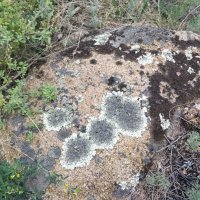 Чудеса :: Андрей Хлопонин Чудеса :: Андрей Хлопонин