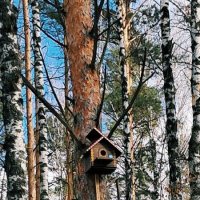 Весна :: Георгиевич Весна :: Георгиевич