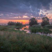 **** :: Елизавета .