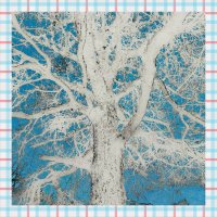 Назва. Отсу. :: Денис Безногов