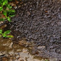 Пасмурно :: Юрий Гайворонскiий