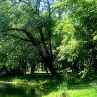 Летом у озера :: Елена Семигина