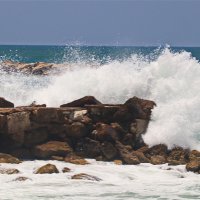 Хайфа 2025 :: Владислав Воровский 