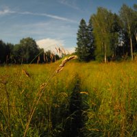 В Павловском парке :: Магомед .