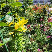 ,,, :: Сергей Тимоновский