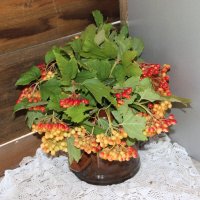 Июль. :: Венера Чуйкова Июль. :: Венера Чуйкова