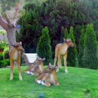 Отдых на донской земле (2) :: Тамара (st.tamara)