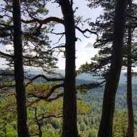 ЛАГОНАКИ :: Tata Wolf ЛАГОНАКИ :: Tata Wolf