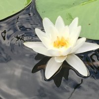 Красотища................................................ :: Владимир Павлов