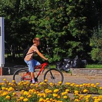 Июль...Цветник у сквера Победы! :: Владимир 