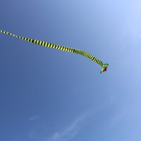 Воздушный змей :: Ольга 