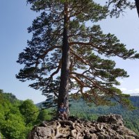 ЛАГОНАКИ :: Tata Wolf ЛАГОНАКИ :: Tata Wolf