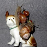 Улиточки :: Ирина Олехнович