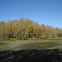 У протоки :: Anna Ivanova