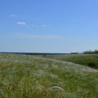 Ковыль. :: Виктор 