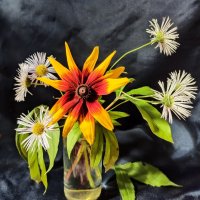 Июль кончается... :: veilins veilins