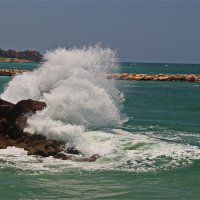 Хайфа 2025 :: Владислав Воровский 