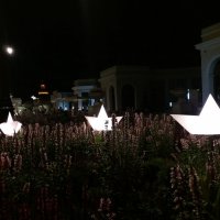 Фонарики-кораблики :: Galina Solovova