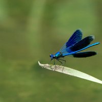 из сегодняшней съемки 7 :: Александр Прокудин