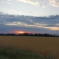 Рассвет :: Инна Драбкина Рассвет :: Инна Драбкина