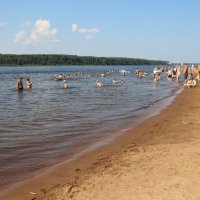 Жара :: Наталья Герасимова