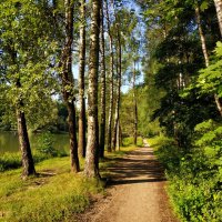Потому, что лето :: Андрей Лукьянов
