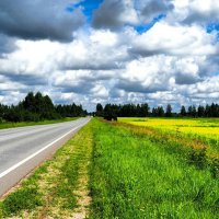 Живописная автострада. :: Милешкин Владимир Алексеевич 