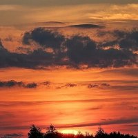 Закат :: Михаил Свиденцов