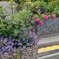 город-сад :: Галина R... город-сад :: Галина R...