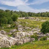 Лаго-Наки июль 2024 :: Игорь Сикорский