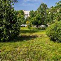 Зелёный уголок :: Анатолий Чикчирный Зелёный уголок :: Анатолий Чикчирный