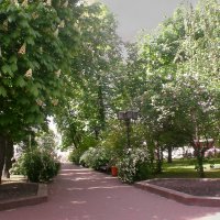 Весна в городе :: Роман Савоцкий