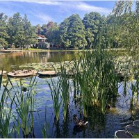 На озере. :: Валерия Комова На озере. :: Валерия Комова