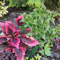 ,,, :: Сергей Тимоновский