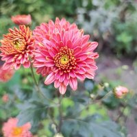 ,,, :: Сергей Тимоновский