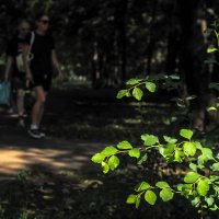 ***** :: юрий поляков