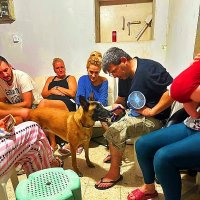 ФОТО   ИЗ   УБЕЖИЩА (3) :: Анатолий Малобродский