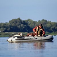 Сбежала рыба! :: Валерий Судачок